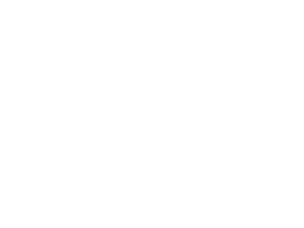 logo_spunch_